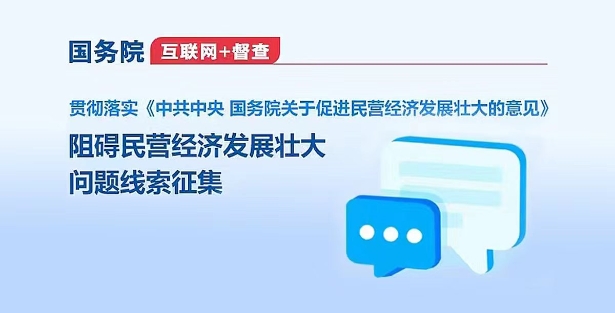 國務院互聯網+督查
